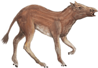 Hyracotherium o Eohippus