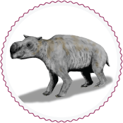 Diprotodon