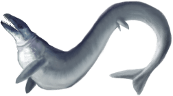 Basilosaurus