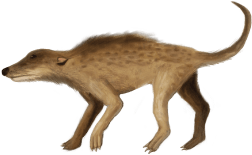 Pakicetus