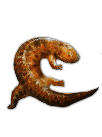 Salamandra