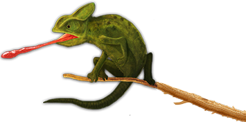 Camaleon