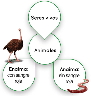 Esquema Aristóteles