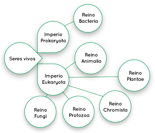 Esquema Thomas Cavalier-Smith