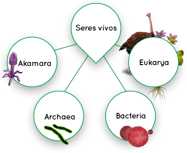 Esquema Christon J. Hurst