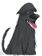 perro negro ojos pequeños