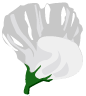 Flor blanca