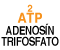 2ATP