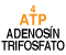 ATP