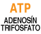 ATP