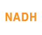 NADH