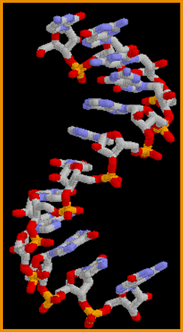 RNA mensajero