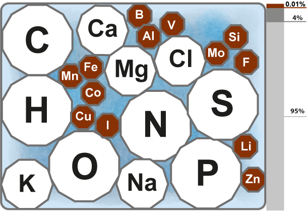 Bioelementos oligoelementos