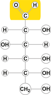 Glucosa en forma lineal