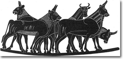 Representación de un toro en una copa griega.