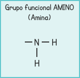 Amino